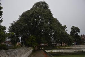 Siddha Pokharī