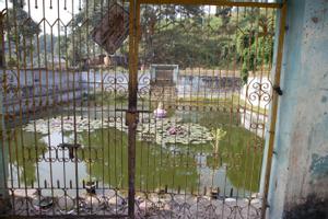 Waterpond with lotus flowers at Pindeshwor temple