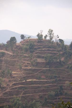 Terraced fields at Chichinga village