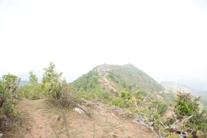 View onto Tuwachung-Jayajum hill