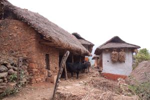Houses in Lower Chichinga village